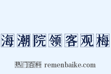 海潮院领客观梅是什么意思的图片